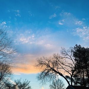 Meet your Posher, Sofia